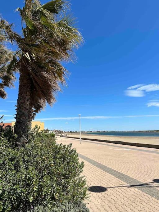 Studio Cosy A Deux Pas De La Plage ! Gruissan Exterior foto